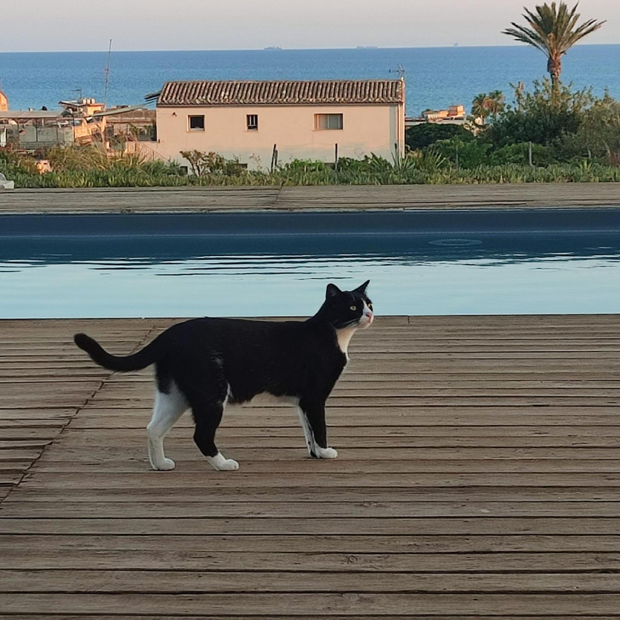 Casadorata Buen Retiro Vista Mare Villa Donnalucata  Eksteriør bilde