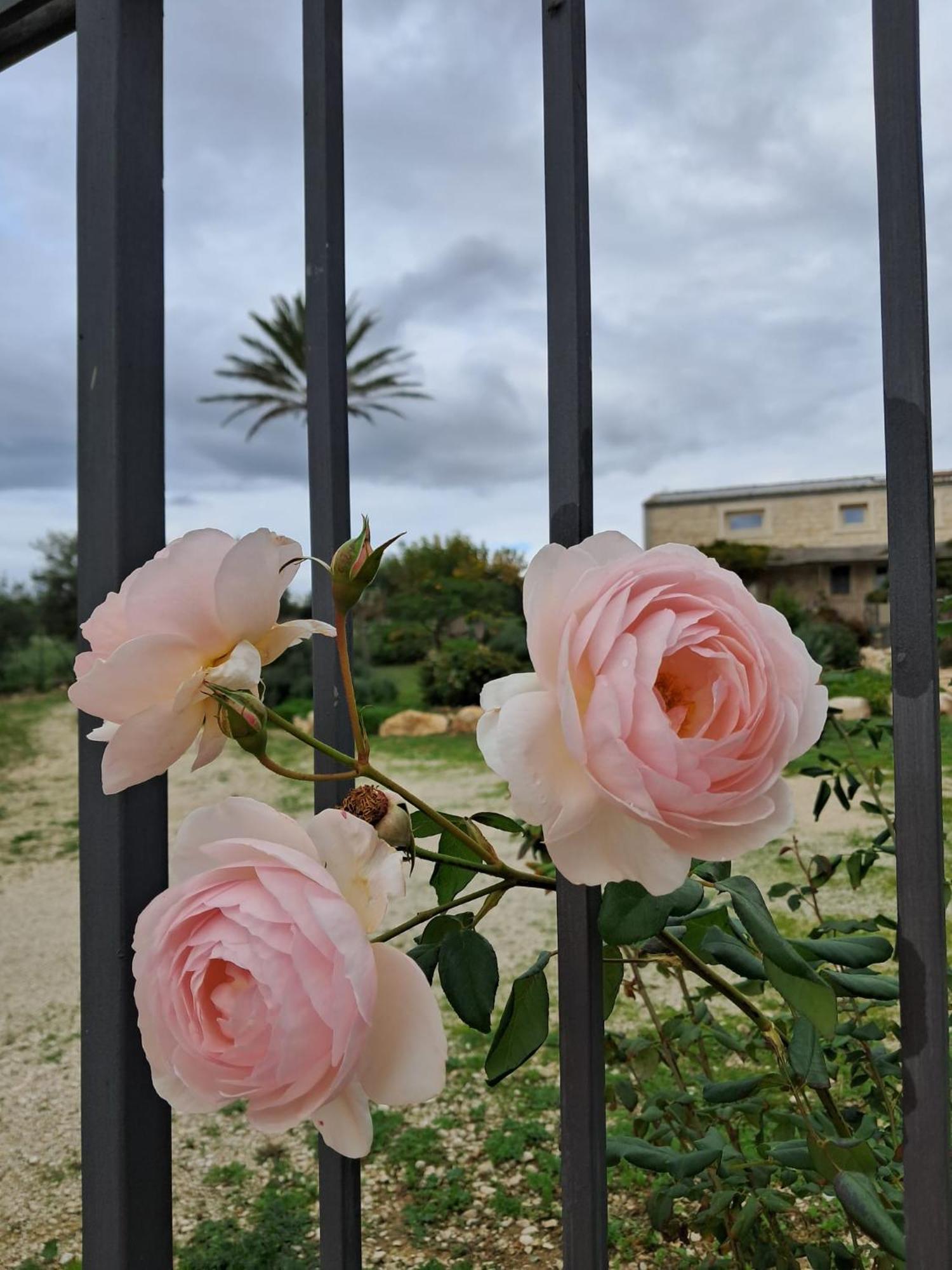 Casadorata Buen Retiro Vista Mare Villa Donnalucata  Eksteriør bilde