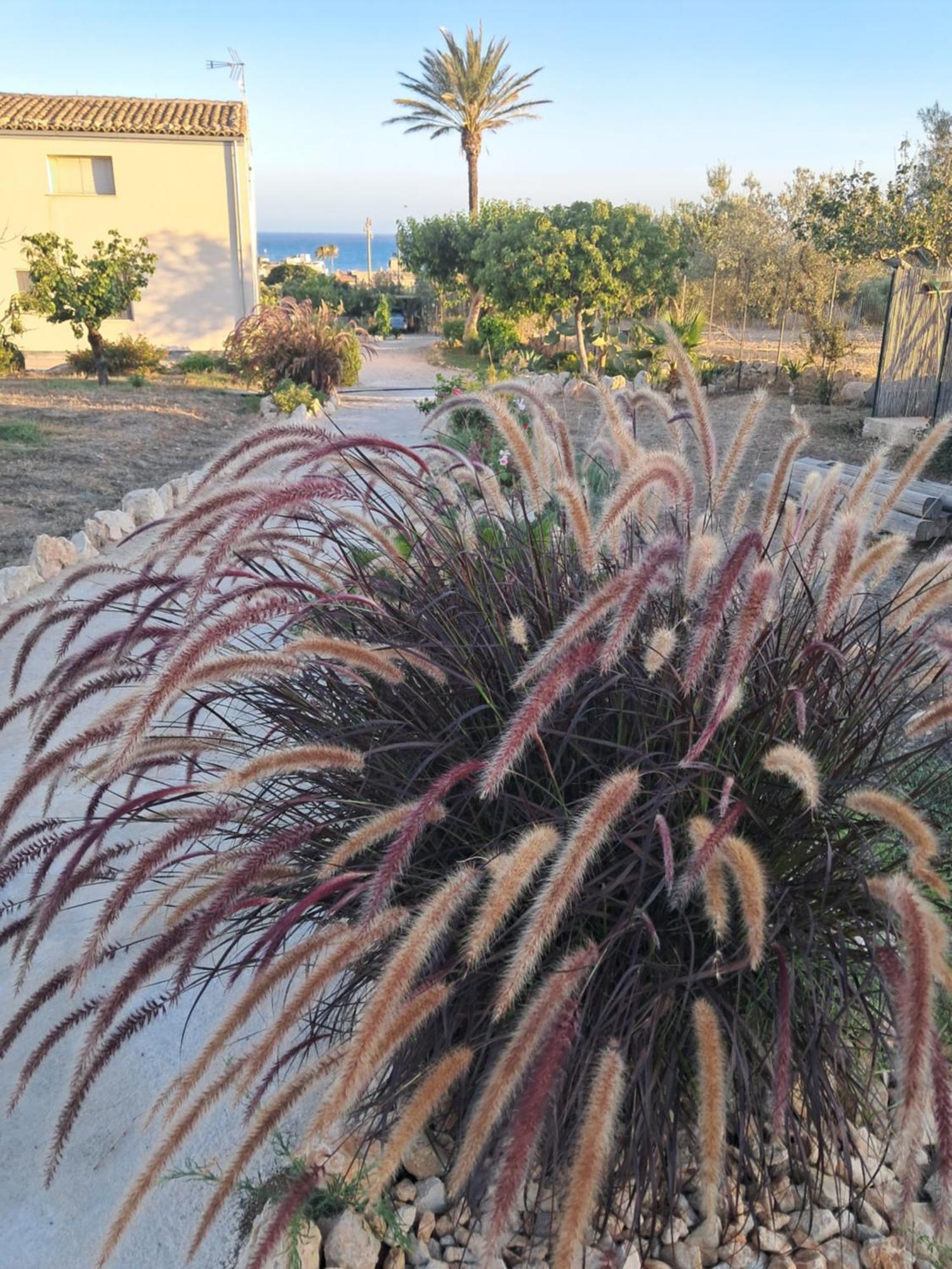 Casadorata Buen Retiro Vista Mare Villa Donnalucata  Eksteriør bilde