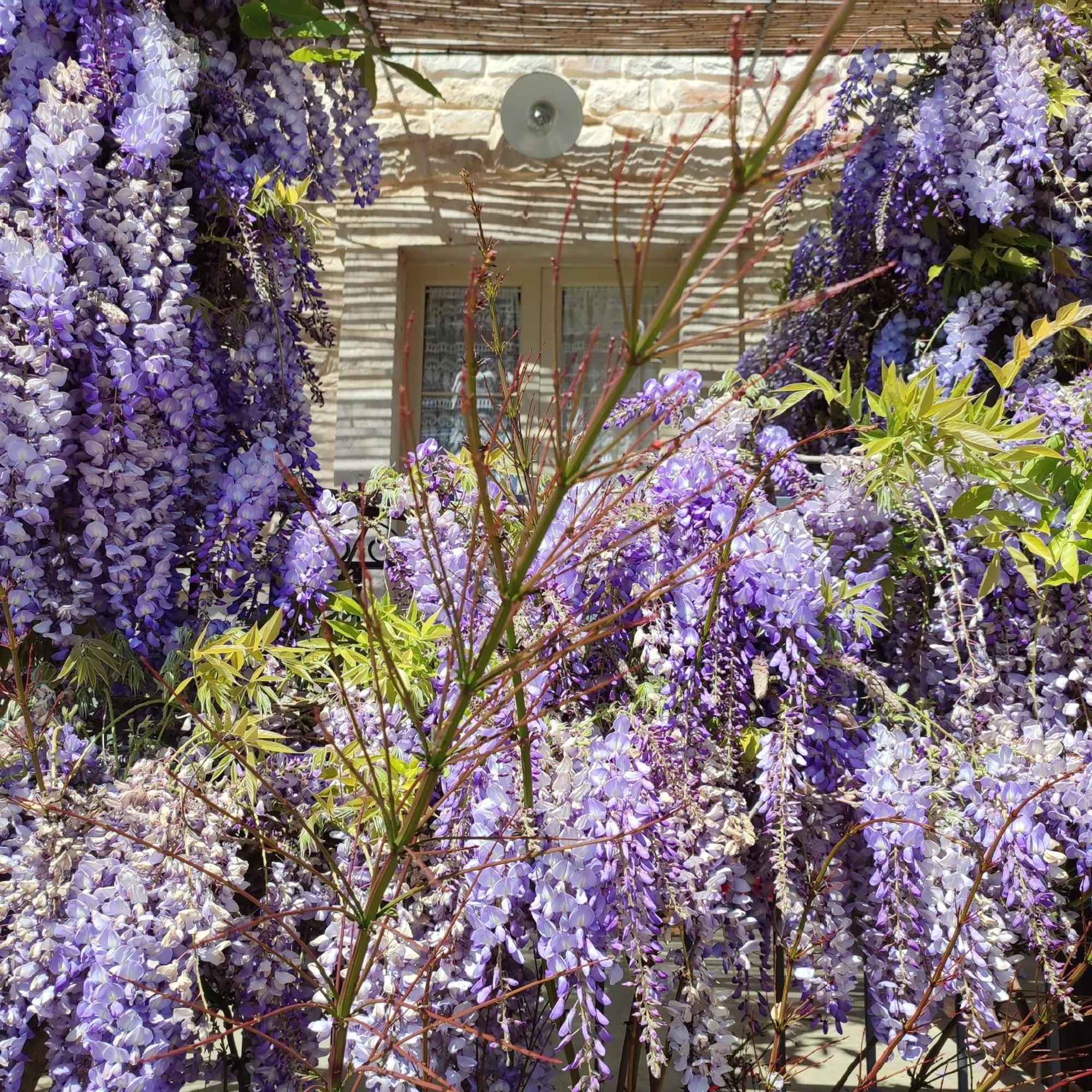 Casadorata Buen Retiro Vista Mare Villa Donnalucata  Eksteriør bilde