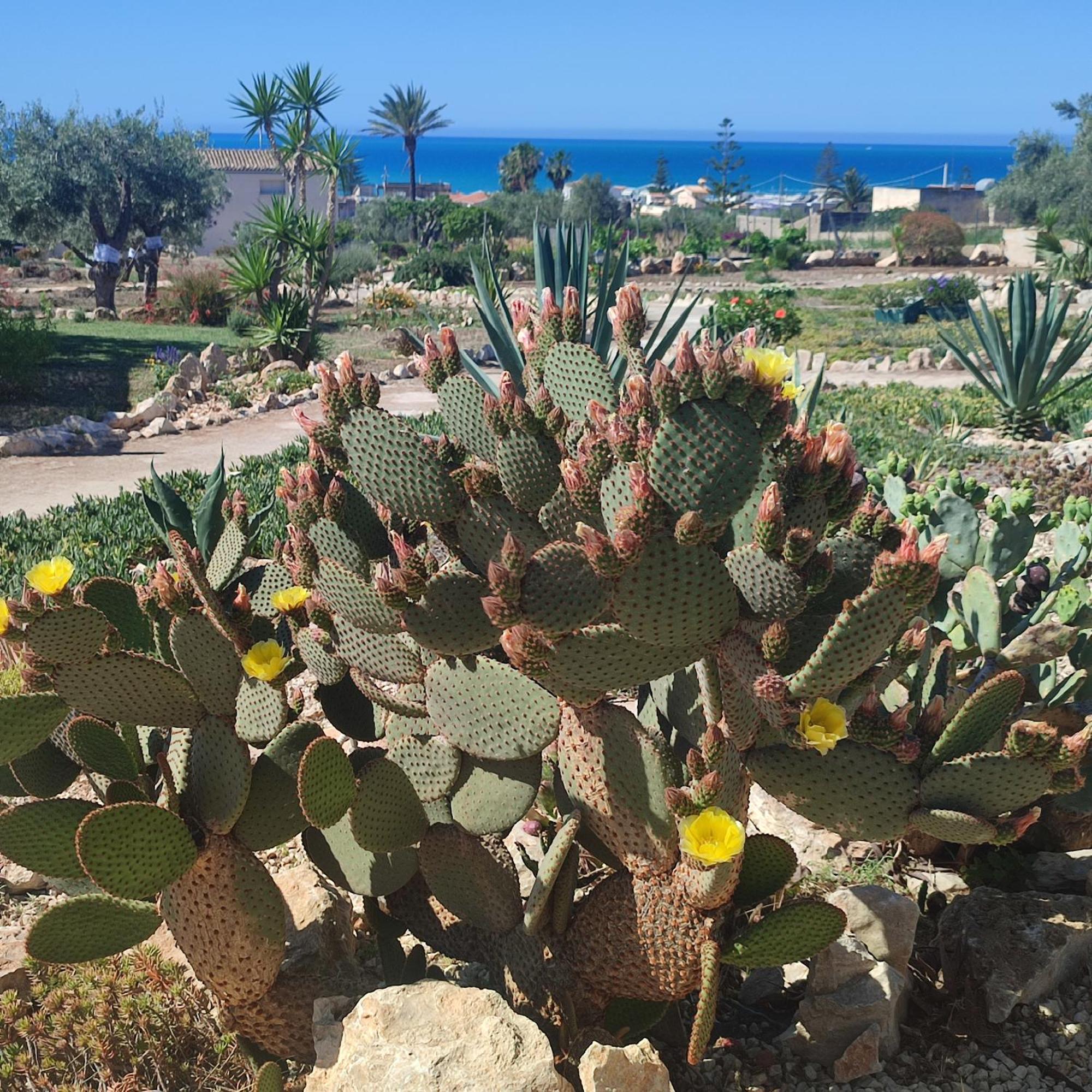 Casadorata Buen Retiro Vista Mare Villa Donnalucata  Eksteriør bilde