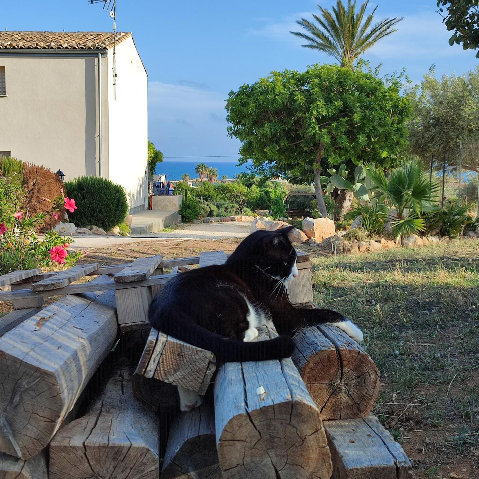 Casadorata Buen Retiro Vista Mare Villa Donnalucata  Eksteriør bilde