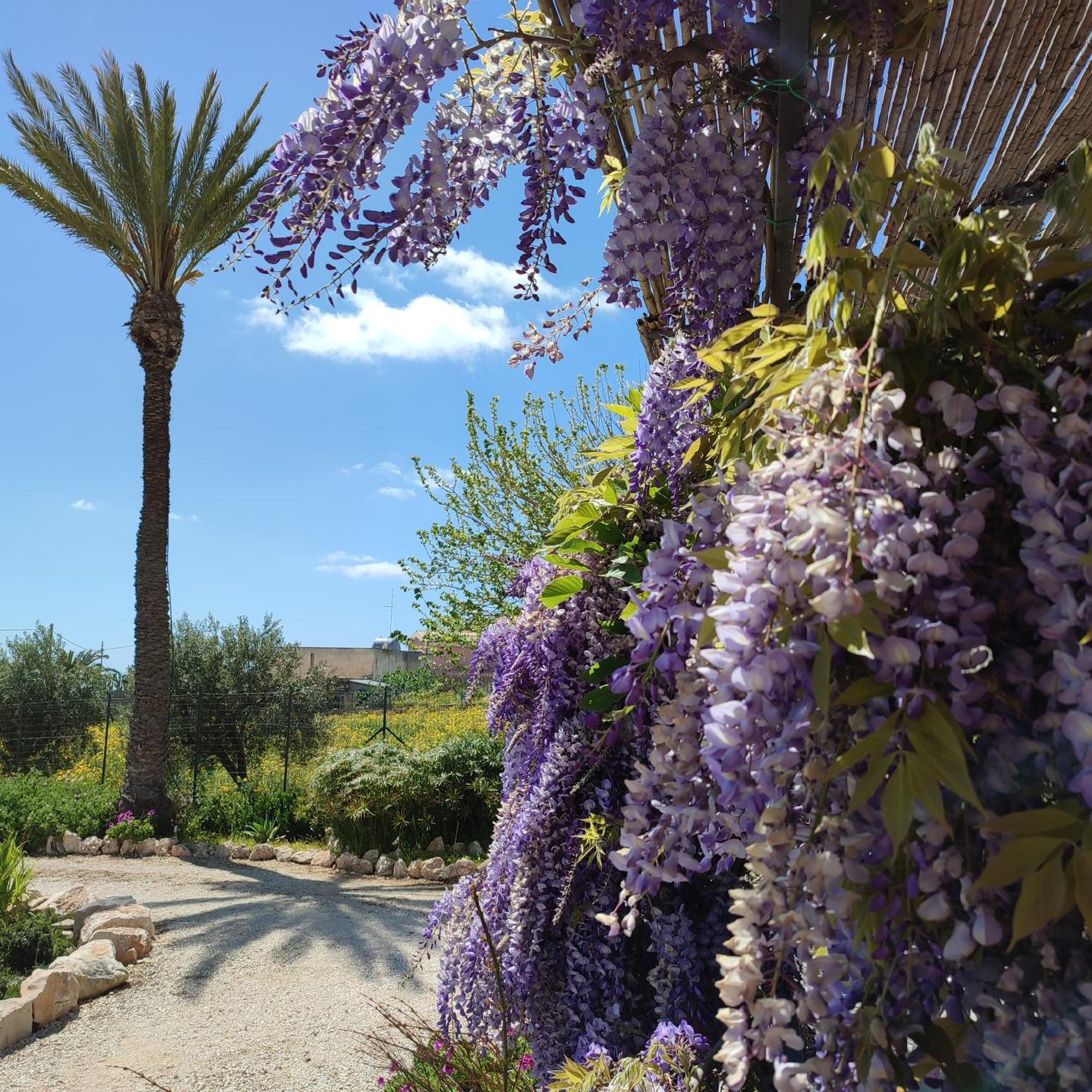 Casadorata Buen Retiro Vista Mare Villa Donnalucata  Eksteriør bilde